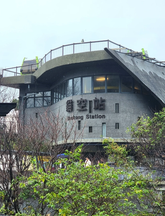 Photo of Maokong: Maokong tea season