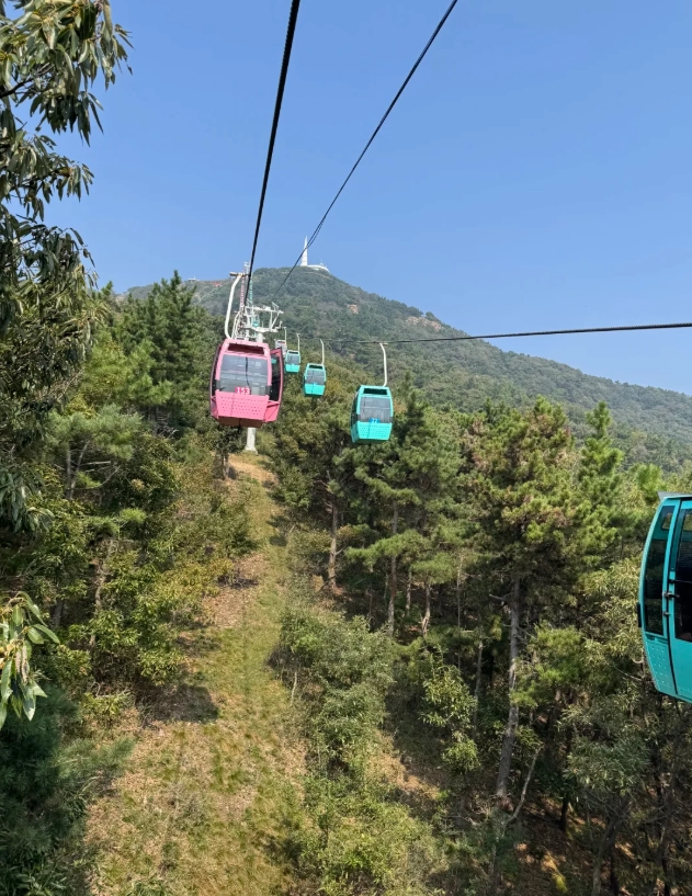 Dalian Forest Zoo tour Dalian Forest Zoo tour