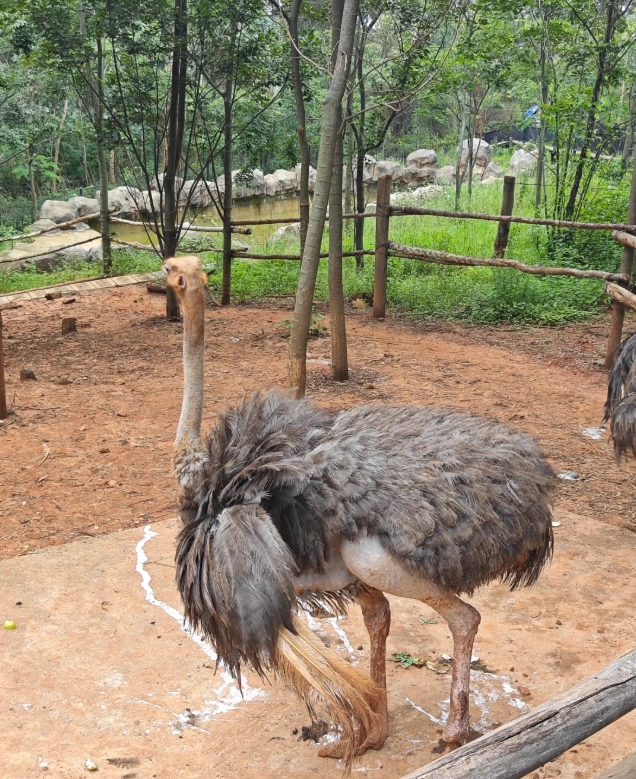 Yunnan Wildlife Park opening hours Yunnan Wildlife Park opening hours