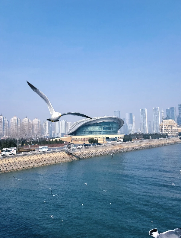 things to do xinghai square things to do xinghai square