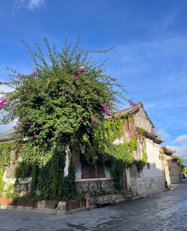things to do in Xizhou things to do in Xizhou