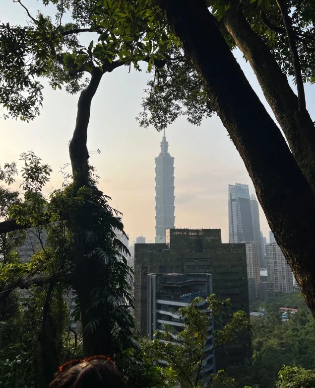 Taipei 101 Red Line