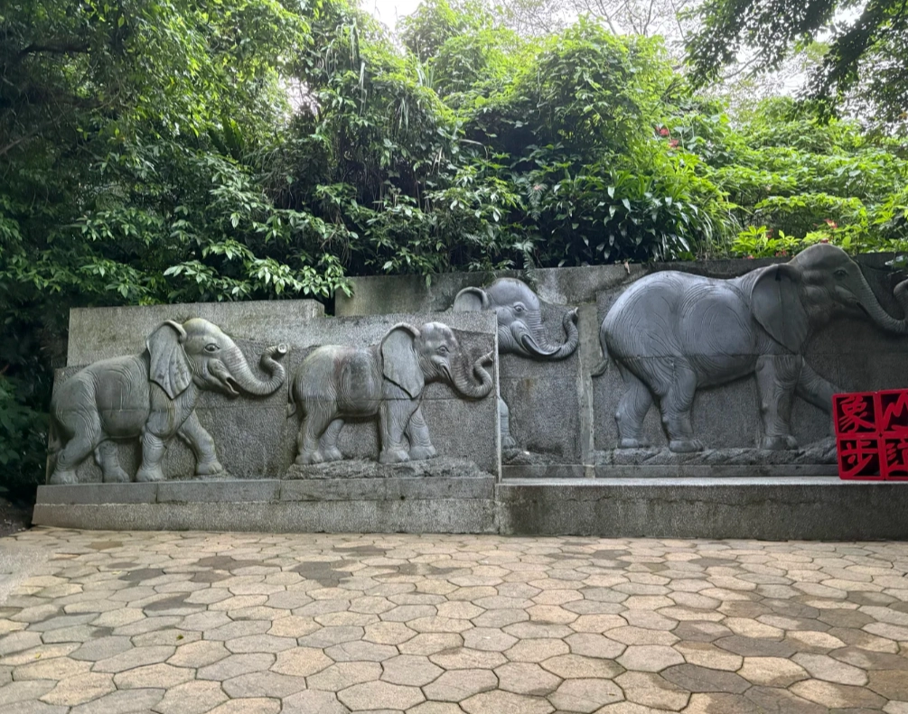 Photo of Elephant Mountain: best time to hike Elephant Mountain