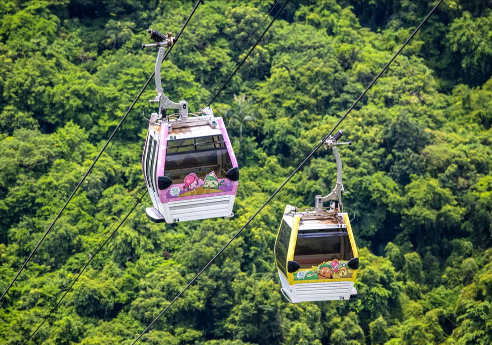 Maokong English Guide: Gondola, Tea & Night Views Without Language Barriers