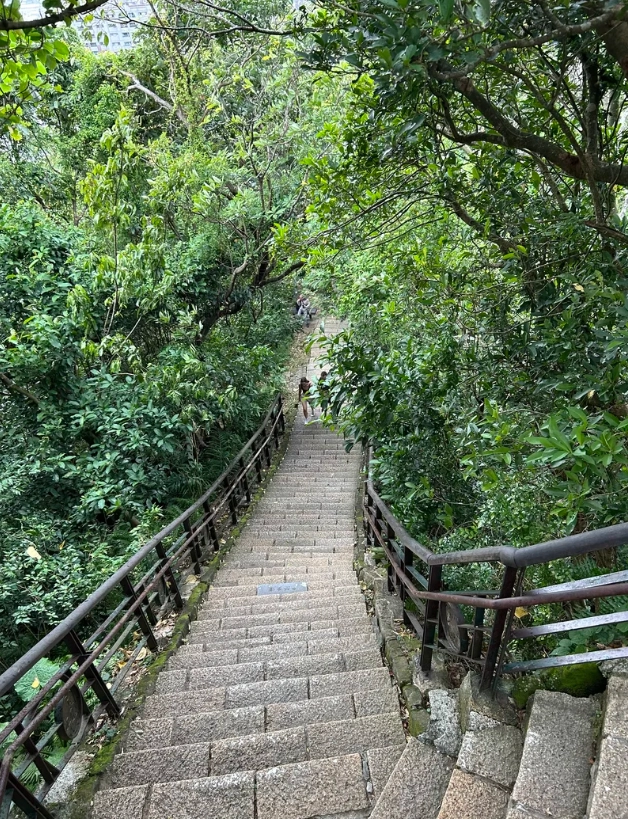 How to Visit Elephant Mountain: Skip Crowds & Snap Taipei 101