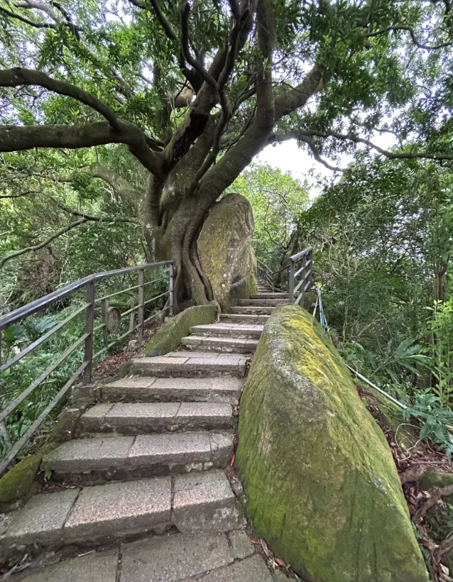 Elephant Mountain viewpoint