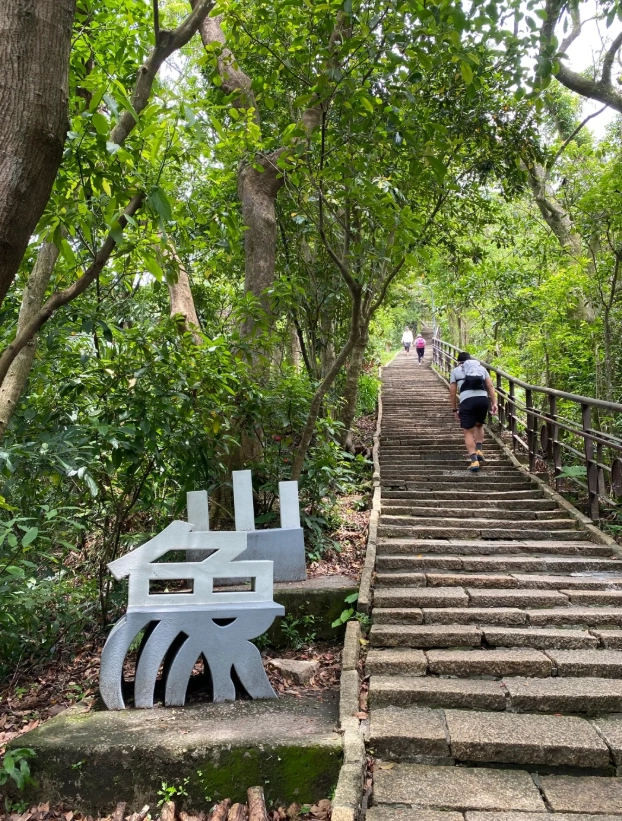 Best Time to Visit Elephant Mountain: Avoid the Crowds & Get Perfect Shots