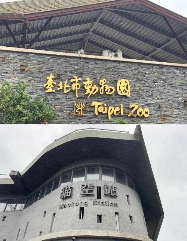 Maokong Guided Tour: Avoid Crowds and Tea Traps