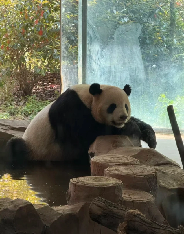 Yunnan Wildlife Park tour Yunnan Wildlife Park tour