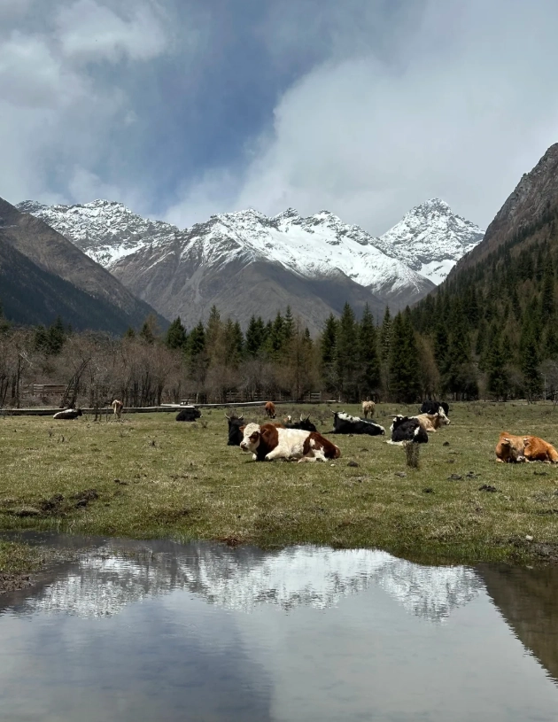 Sichuan mountain photography Sichuan mountain photography
