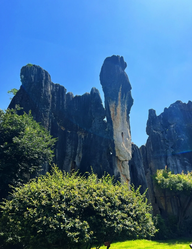Stone Forest tour from Kunming