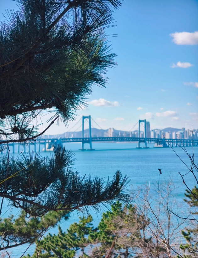 Binhai Boardwalk route