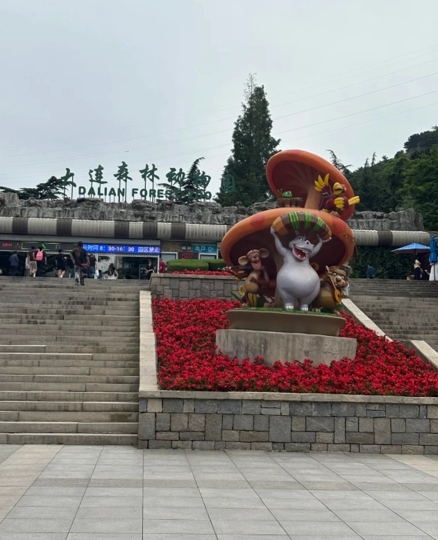 Dalian Forest Zoo Tickets: Save Money and Skip the Lines