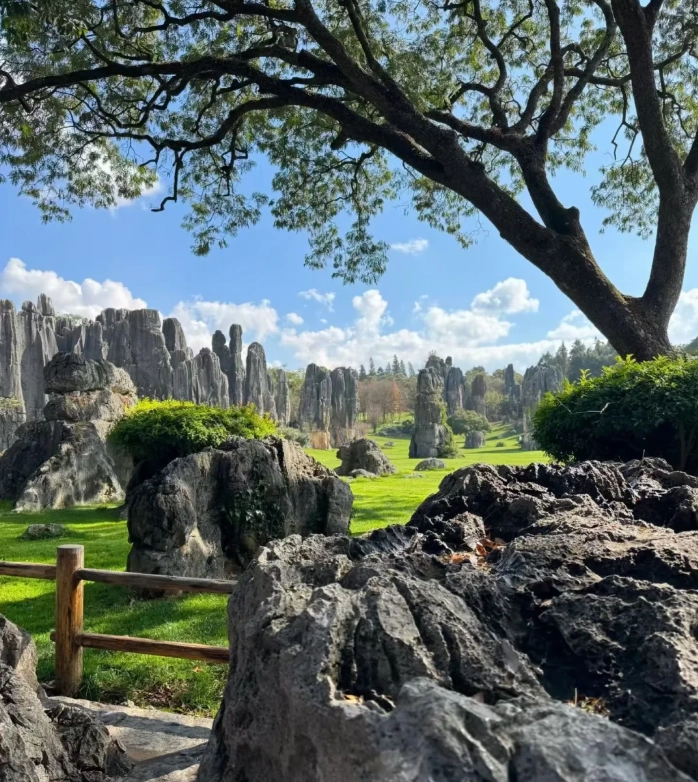 Is Stone Forest Scenic Area Worth Visiting: Honest Guide from a Local Guide