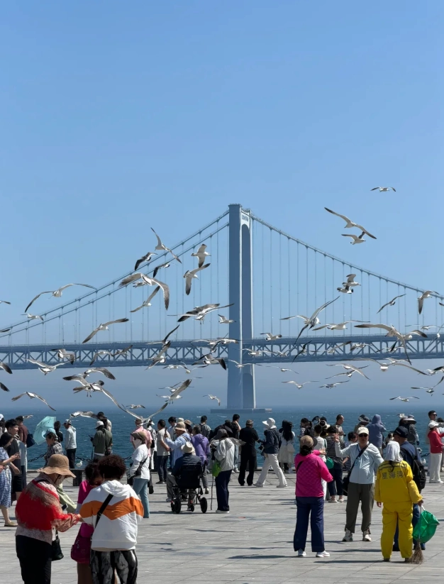 Xinghai Square photography tips Xinghai Square photography tips
