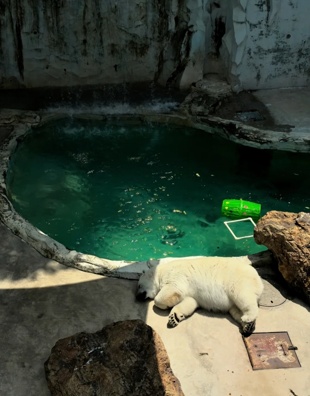 Dalian Forest Zoo tickets Dalian Forest Zoo tickets