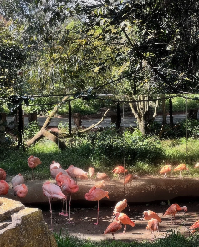 China wildlife tour China wildlife tour
