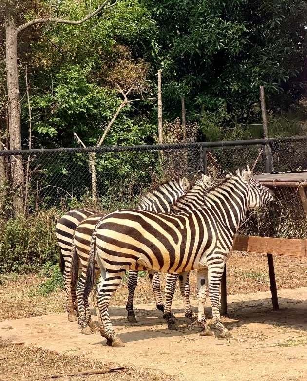 best photo spots Yunnan Wildlife Park best photo spots Yunnan Wildlife Park