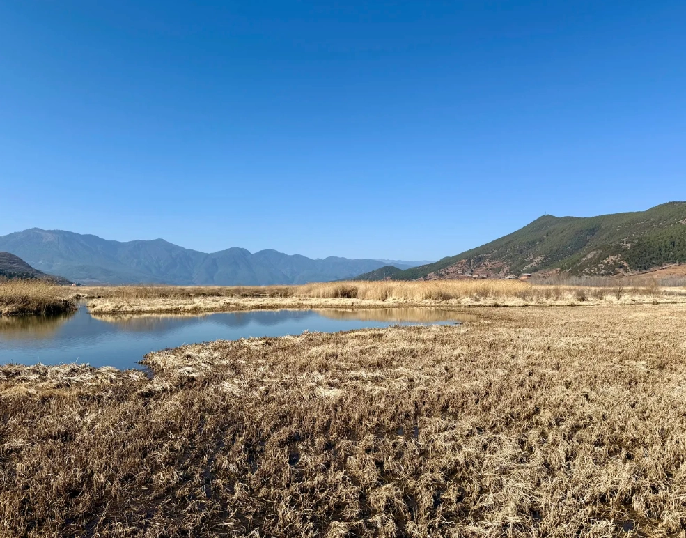 lugu lake road trip lugu lake road trip
