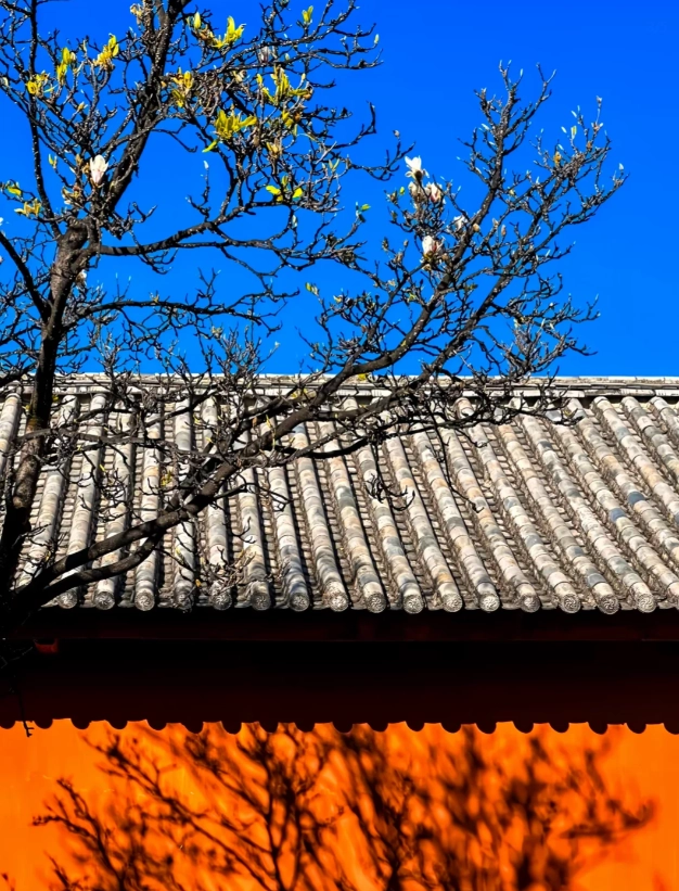 dali yunnan things to do
