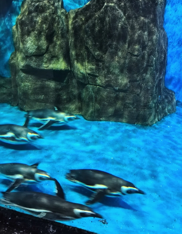 best time to visit Dalian Forest Zoo best time to visit Dalian Forest Zoo