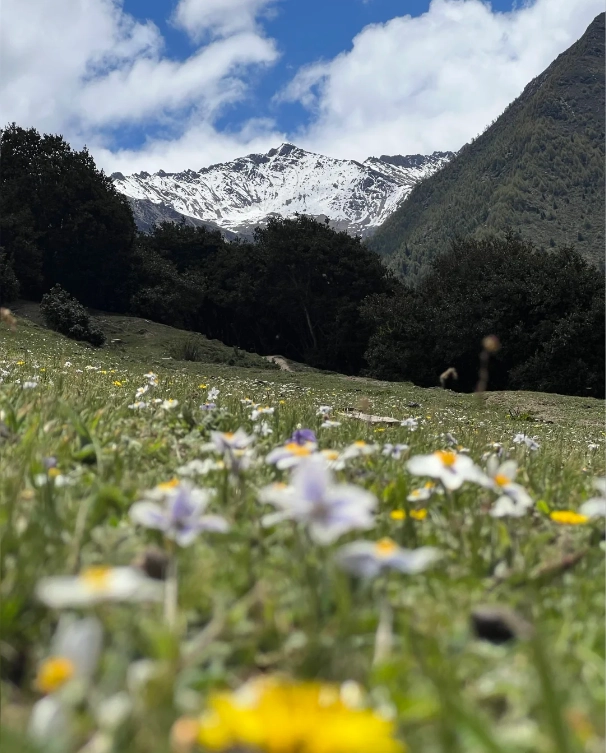 Siguniangshan travel tips
