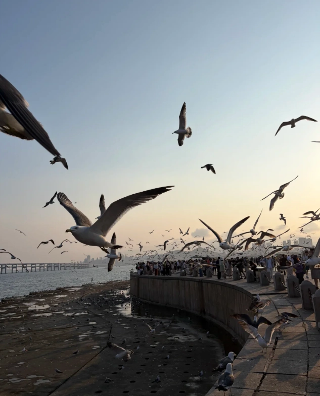 best photo spots Xinghai Square best photo spots Xinghai Square