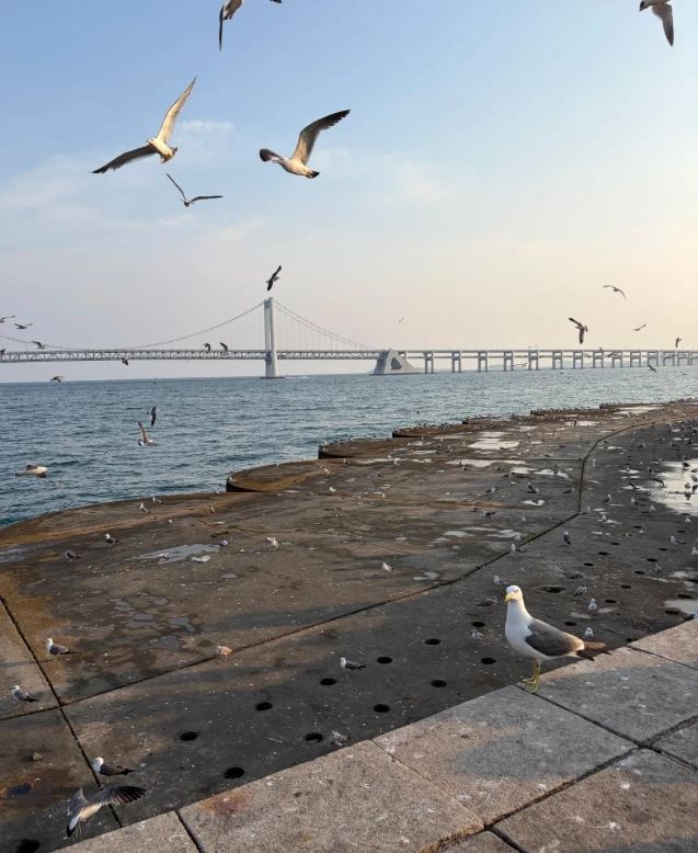 Xinghai Square transportation Xinghai Square transportation