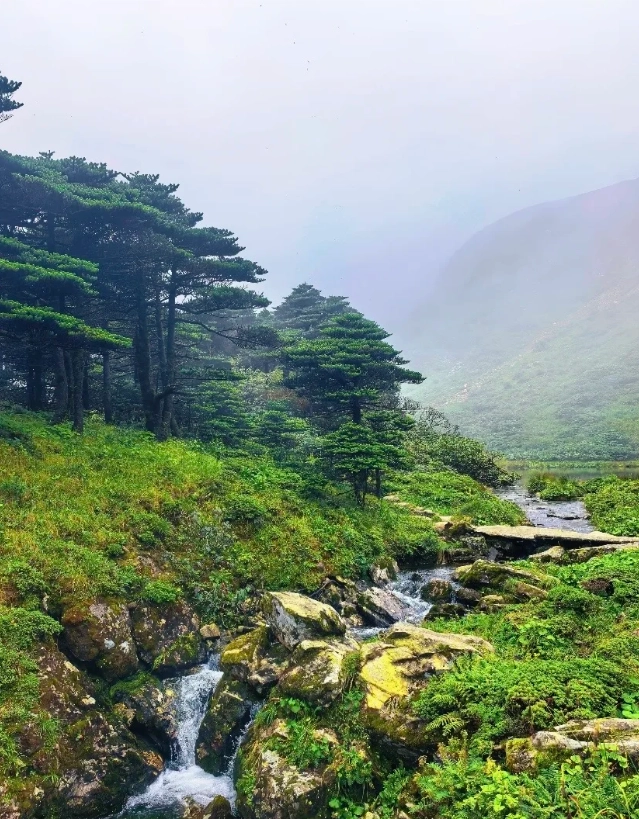 Best Time to Visit Cangshan Mountain: Beat the Crowds & Weather