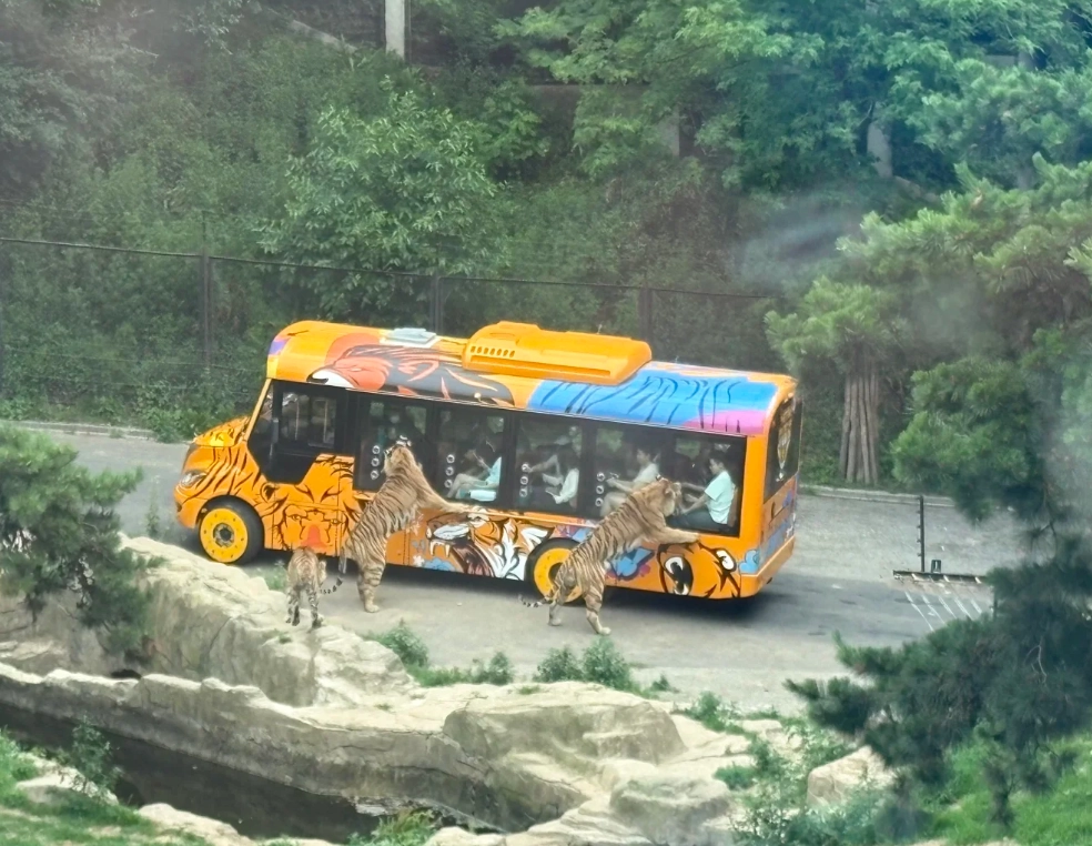 Dalian Forest Zoo price Dalian Forest Zoo price