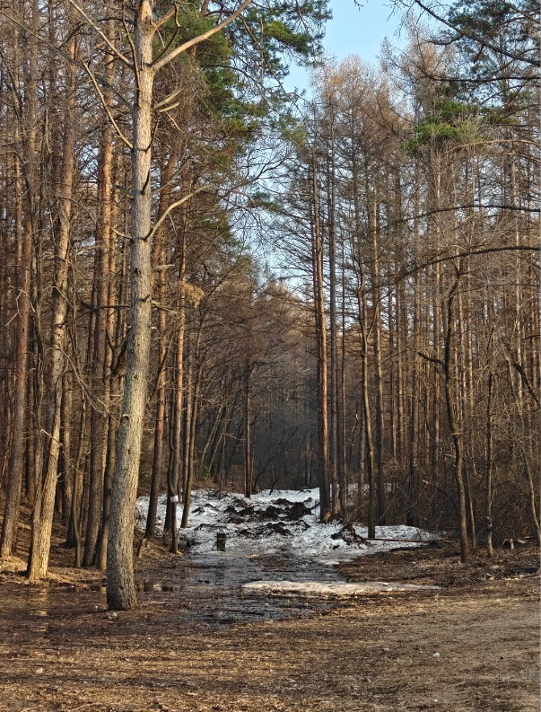 Jingyuetan National Forest Park admission