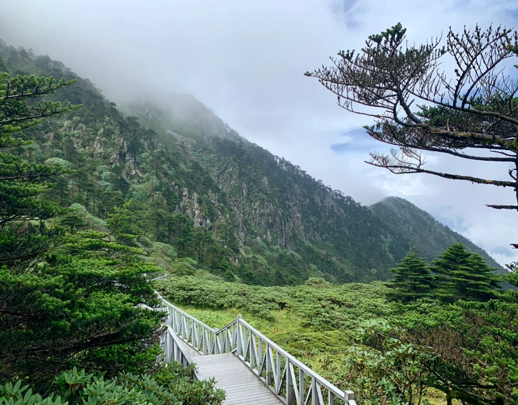 Cangshan hiking photography