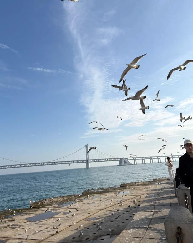 Xinghai Square visiting hours Xinghai Square visiting hours