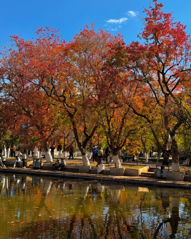 Green Lake Park tips