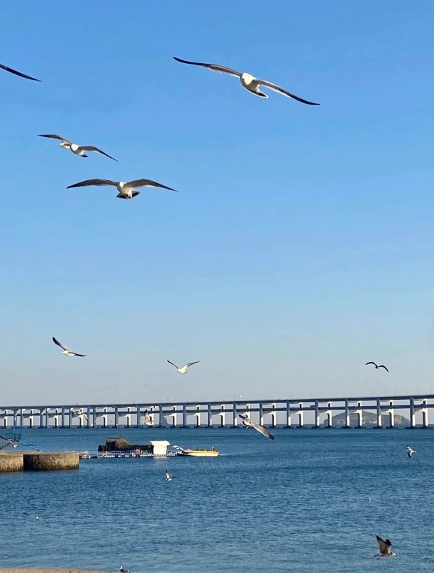 Xinghai Square travel tips