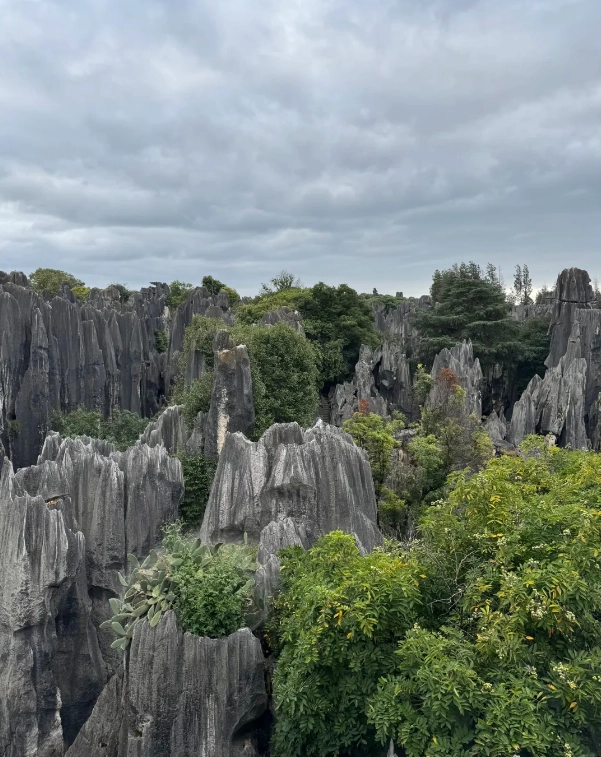 Stone Forest ticket prices