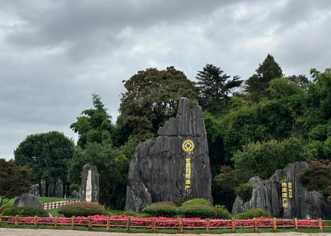 Stone Forest from Kunming