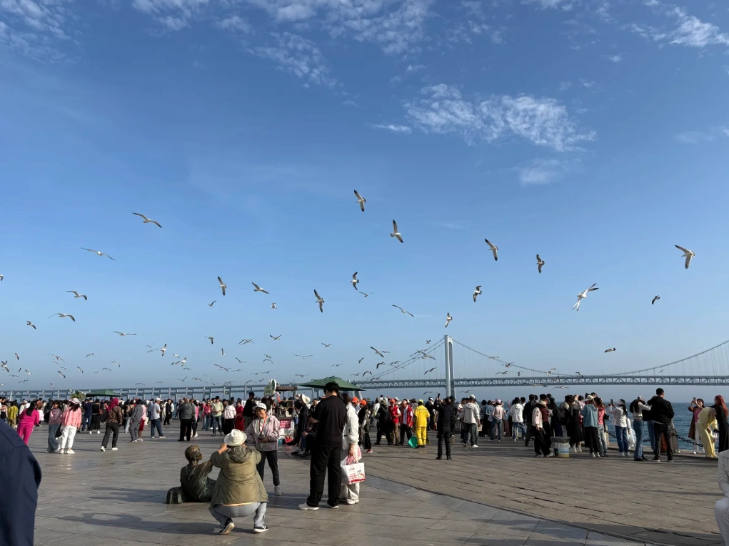 Xinghai Square crowds Xinghai Square crowds