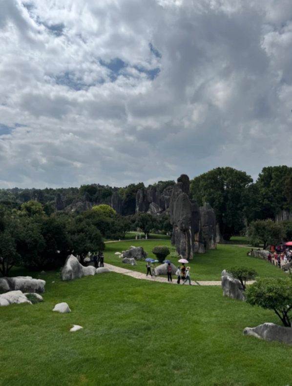 stone forest ticket price