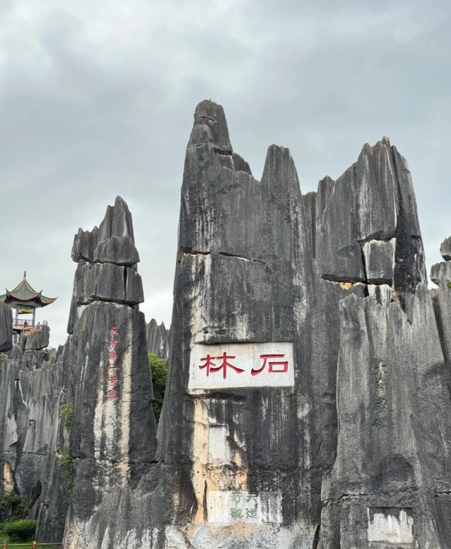 Stone Forest day tour