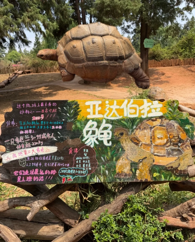 best photo spots Yunnan Wildlife Park best photo spots Yunnan Wildlife Park