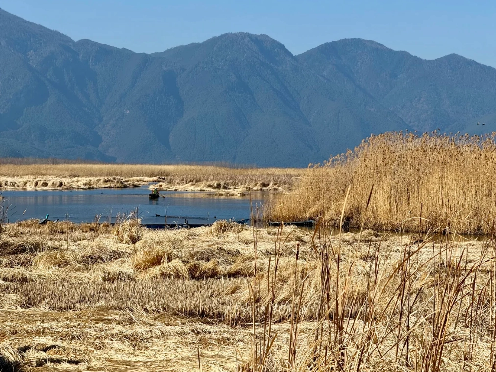 lugu lake self-drive lugu lake self-drive