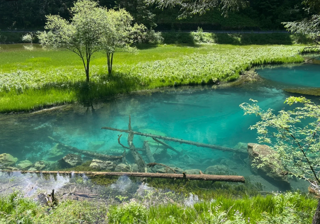 Jiuzhaigou National Park: English Guide to Avoid Crowds & Costs