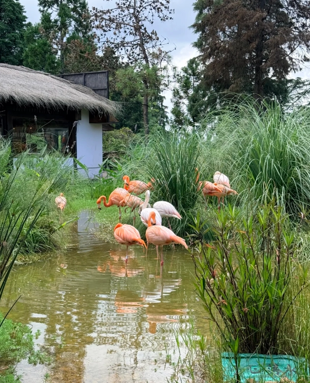 Kunming wildlife park Kunming wildlife park