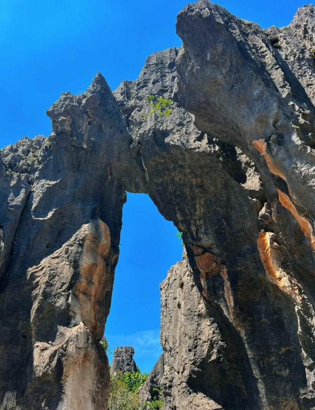 Stone Forest weather by month