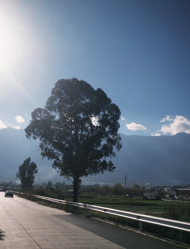 Erhai Lake entrance fee