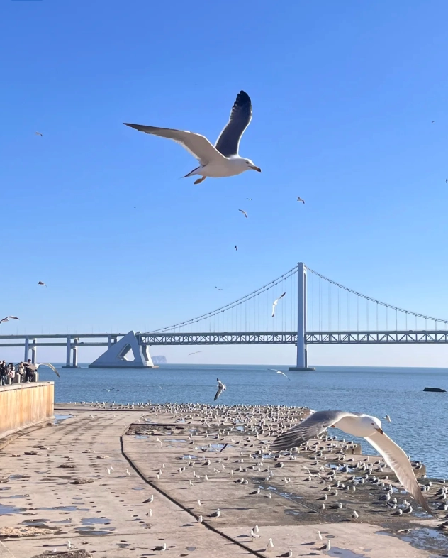 Xinghai Square Opening Hours: Avoid Crowds & Plan Your Visit