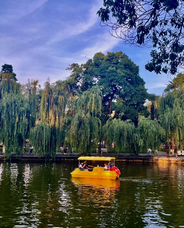 Green Lake Park Row Boats: Insider Tips for a Perfect Afternoon