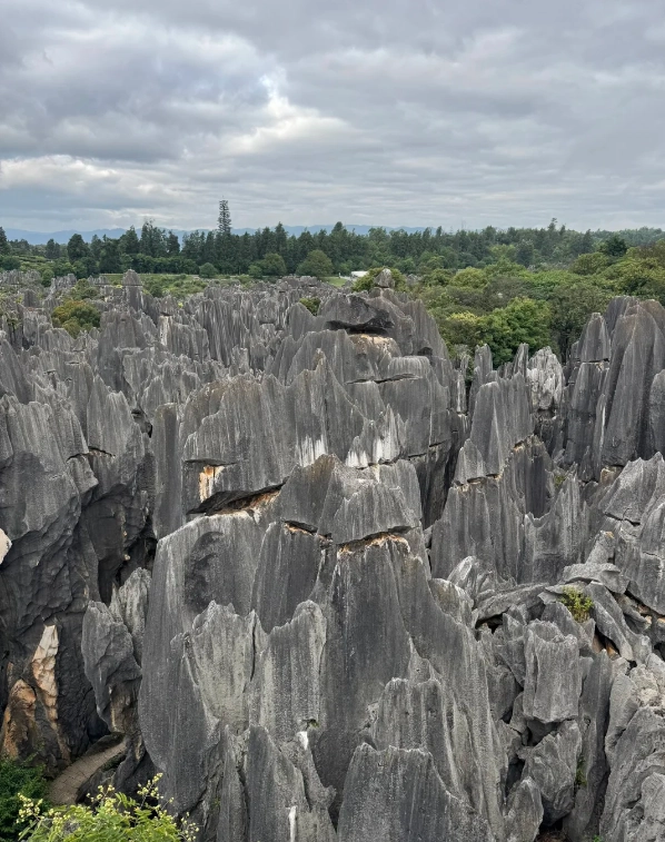 Stone Forest day tour