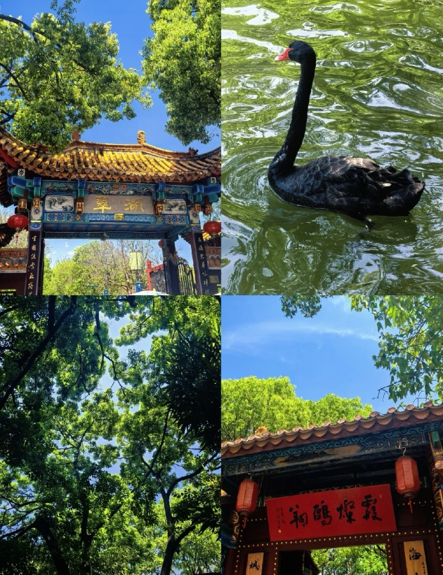 Green Lake Park photography
